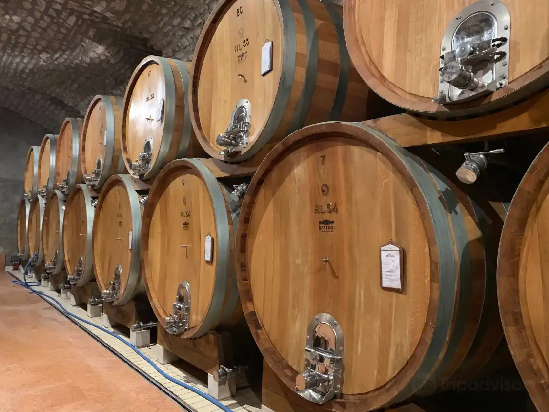 Hotel in zona Bertani