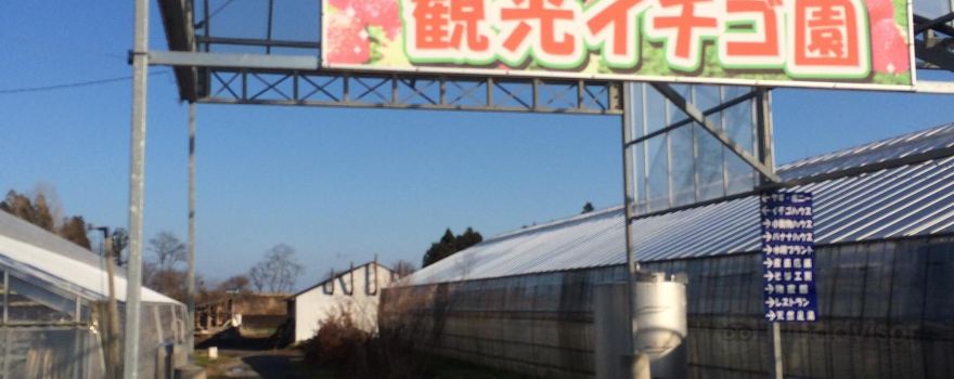 Tourist Farm Agri Village Oirase
