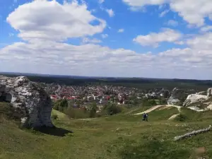 Zamek w Olsztynie