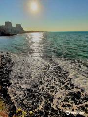 Cattedrale di Trani