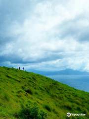 Mt. Gulugod Baboy Trail