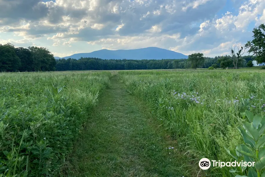 Thorn Preserve - Catskill Center