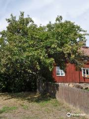 Skärgårdsmuseet