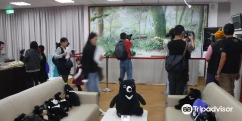 東部台灣黑熊教育館