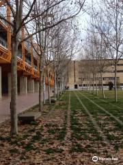 Francisco de Vitoria Library