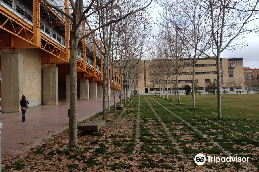 Francisco de Vitoria Library