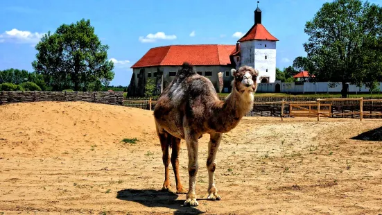 Hrvatska Sahara