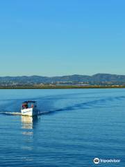 ODYSSEY Traditional Boat Tours - Ria Formosa, Olhão