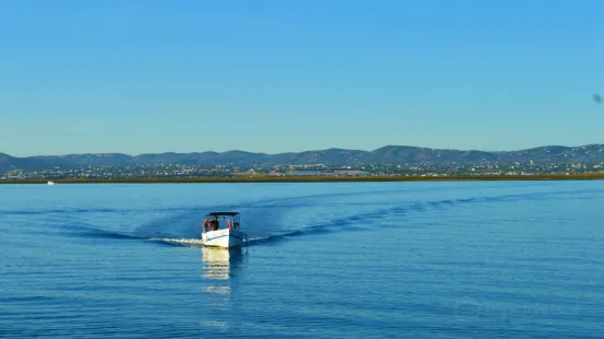 ODYSSEY Traditional Boat Tours - Ria Formosa, Olhão