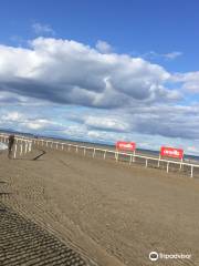 Laytown Races