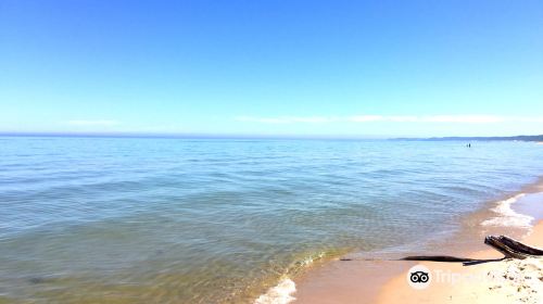 Nordhouse Dunes Wilderness Area