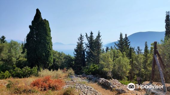 The Cypress Trail