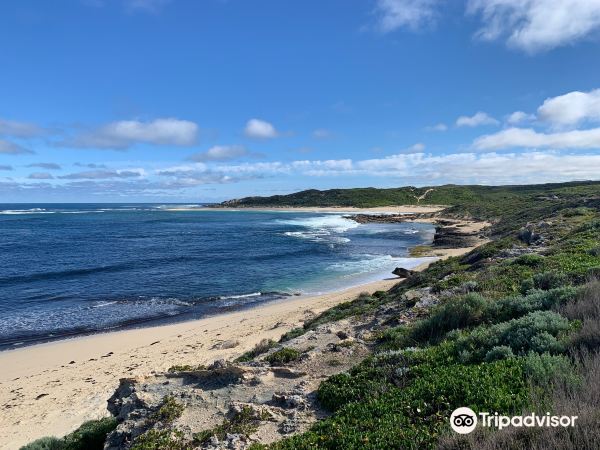 Surfers Point