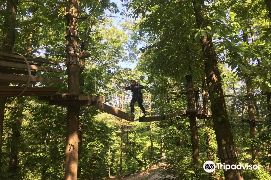 The Adventure Park Fiorine