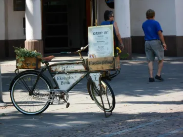 Lustans Ekologiska