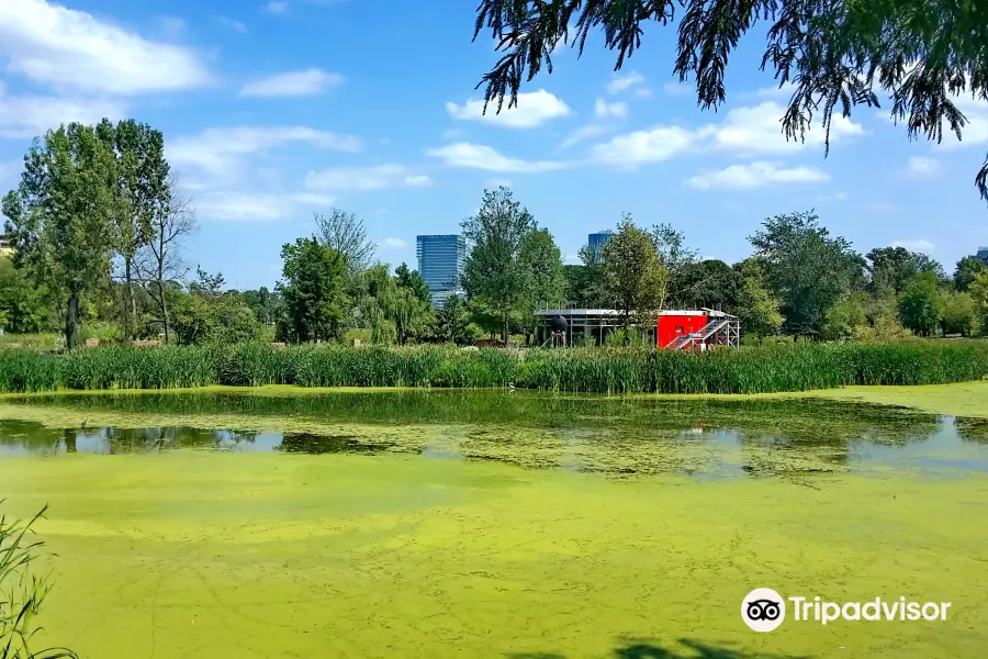 Pacul Bordei Park