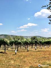 Perissos Vineyard and Winery