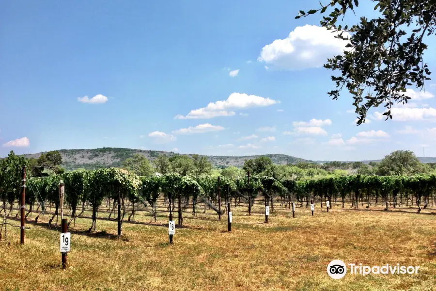 Perissos Vineyard and Winery