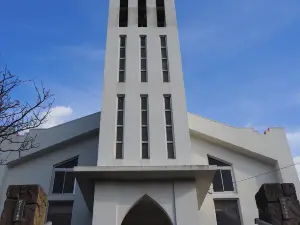 天主教桐教會