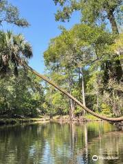 Steinhatchee Falls