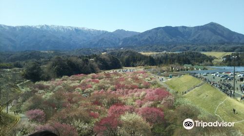 Inabeshi Agriculture Park