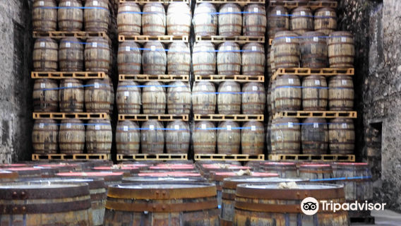 Glen Scotia Distillery