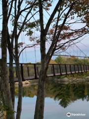 Swinging Bridge Park