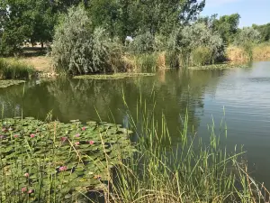 J Kenneth Smith Bird Sanctuary and Nature Center