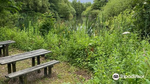 Trafford Ecology Park, Groundwork