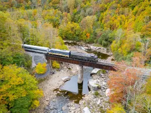 Durbin & Greenbrier Valley Railroad