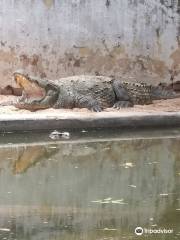 Amaravathi Crocodile Farm