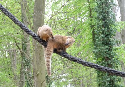 Tierpark Tannenkamp Wolgast