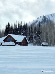 Backcountry Snowmobiling