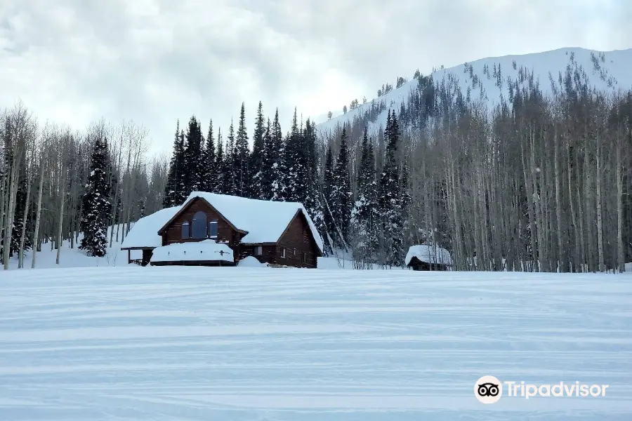 Backcountry Snowmobiling