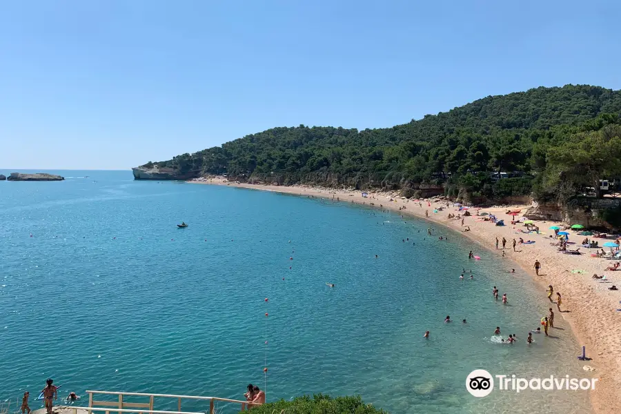 Spiaggia Baia di Campi