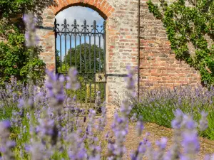 Gordon Castle Walled Garden (Garden only)