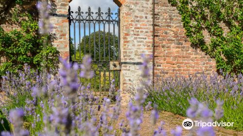 Gordon Castle Walled Garden (Garden only)