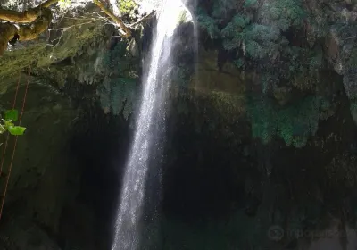 Nuevo Leon
