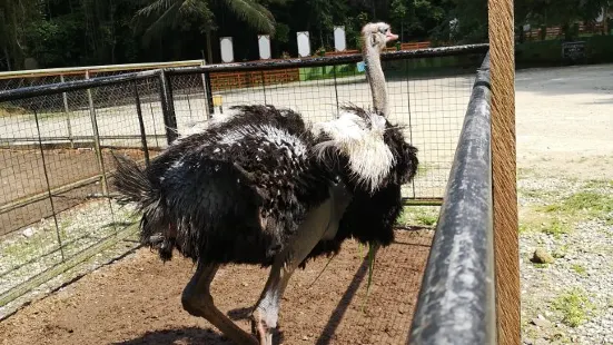 ロボック・ワイルドライフ &自然公園