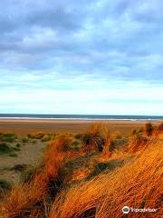 Holkham National Nature Reserve