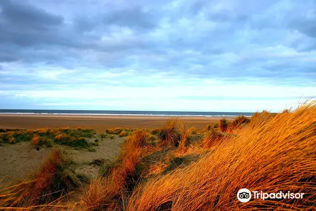 Holkham National Nature Reserve