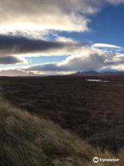 Moine Mhor National Nature Reserve