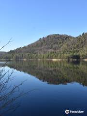 Hoge Kempen National Park