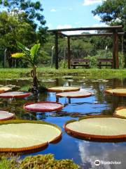 Municipal Botanical Garden of Bauru