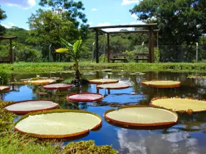Municipal Botanical Garden of Bauru