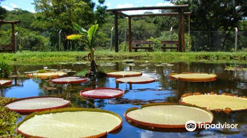 Municipal Botanical Garden of Bauru