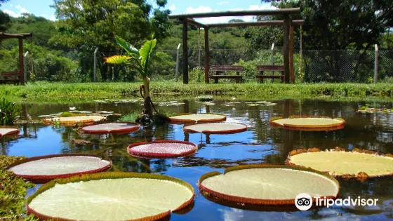 Bauru Municipal Botanical Garden