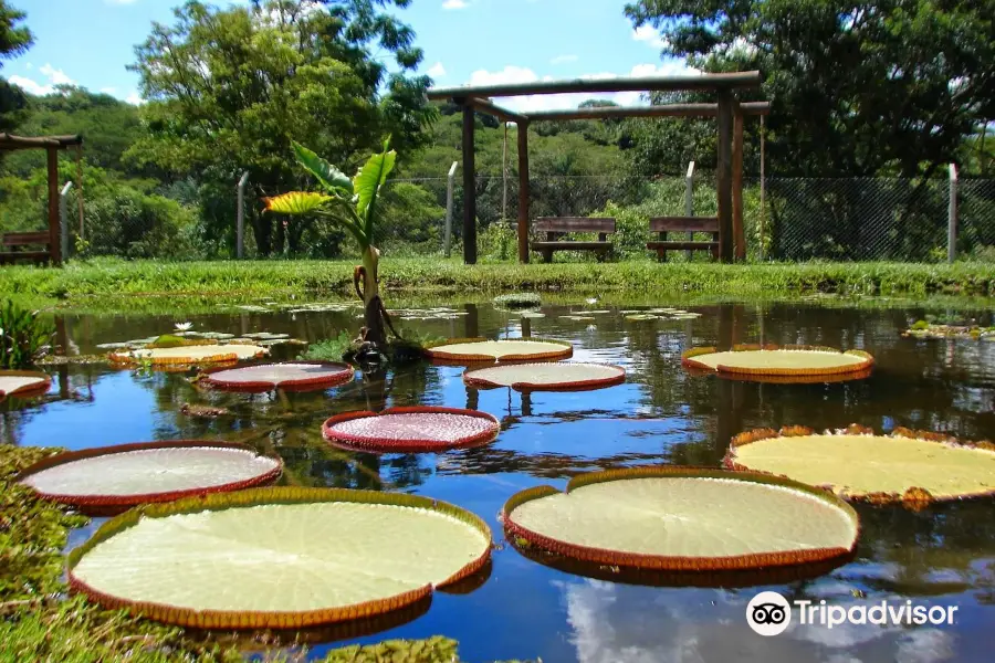 Municipal Botanical Garden of Bauru