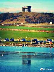 Herrington Country Park