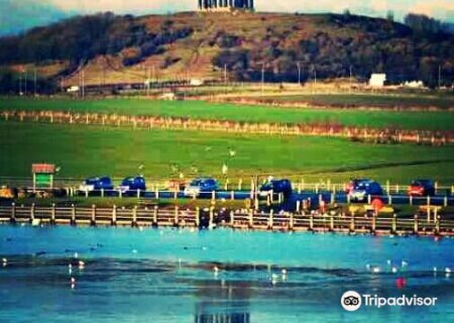 Herrington Country Park